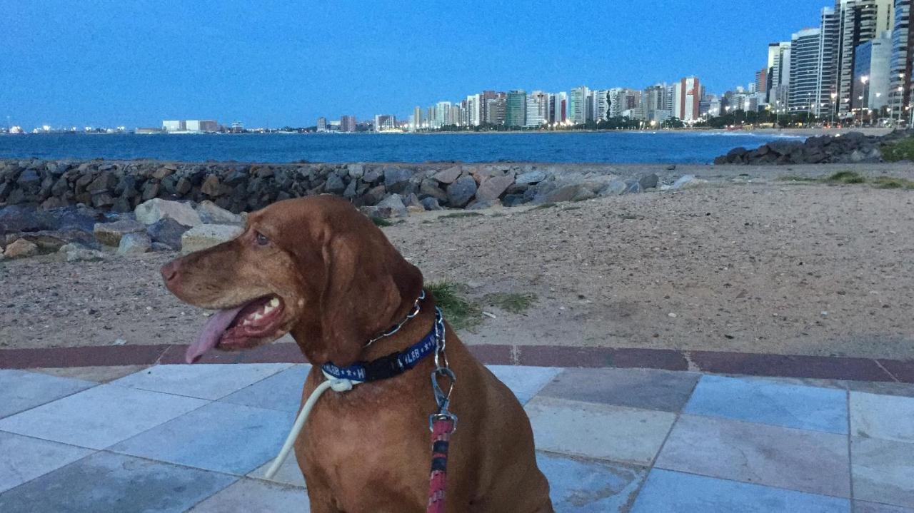 Apartamento New Life Fortaleza  Eksteriør bilde